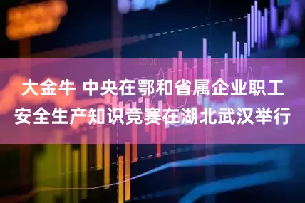 大金牛 中央在鄂和省属企业职工安全生产知识竞赛在湖北武汉举行