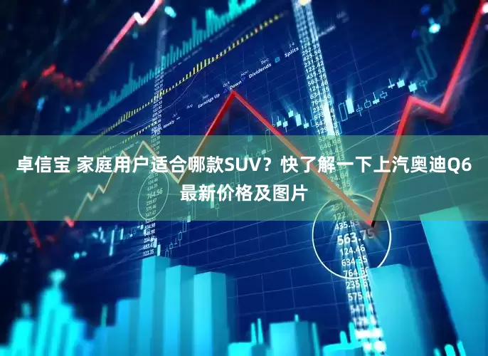 卓信宝 家庭用户适合哪款SUV？快了解一下上汽奥迪Q6最新价格及图片