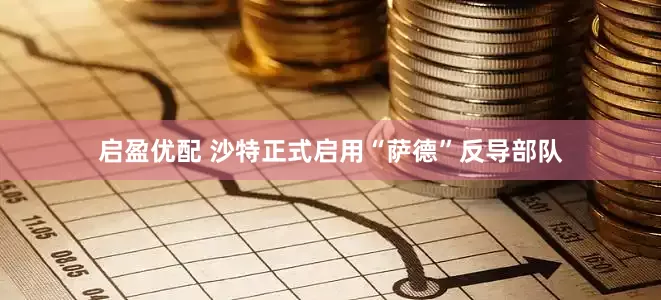 启盈优配 沙特正式启用“萨德”反导部队