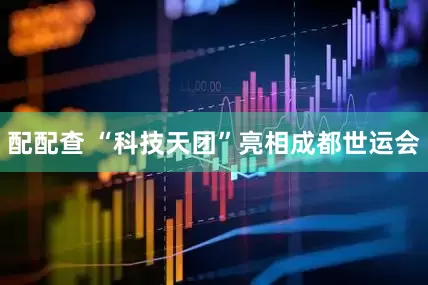 配配查 “科技天团”亮相成都世运会