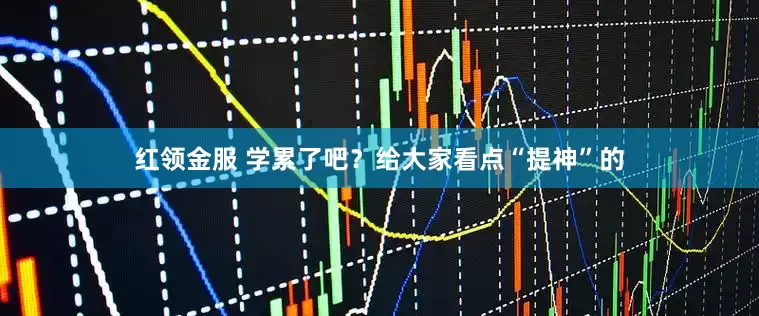红领金服 学累了吧？给大家看点“提神”的