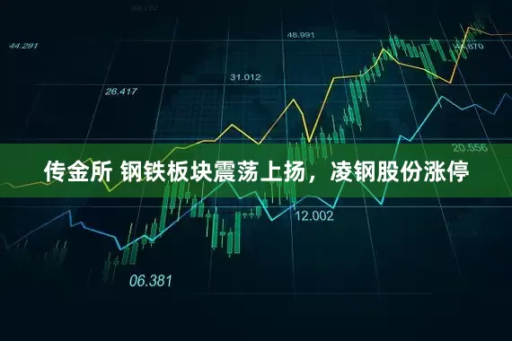 传金所 钢铁板块震荡上扬，凌钢股份涨停